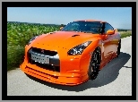 Konigseder, Nissan GT-R, Pakiet